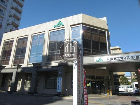 大通り