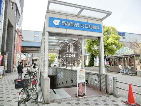 大通り