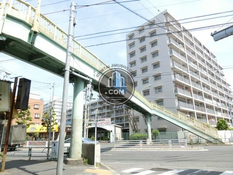 大通り