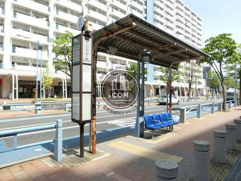 大通り