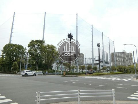 大通り