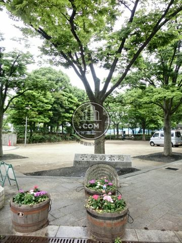 大通り