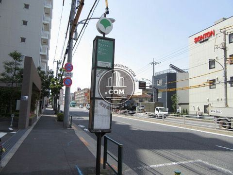 大通り