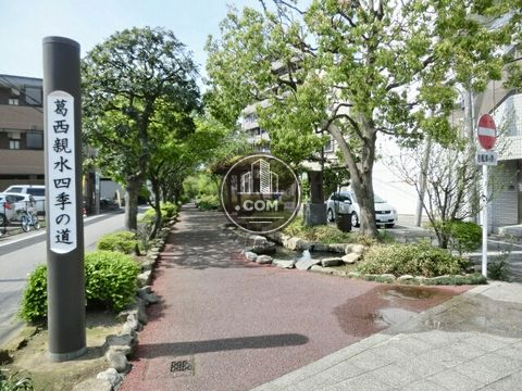裏路地