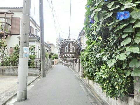 裏路地