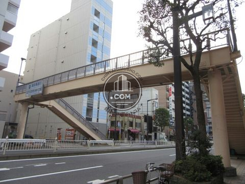 大通り