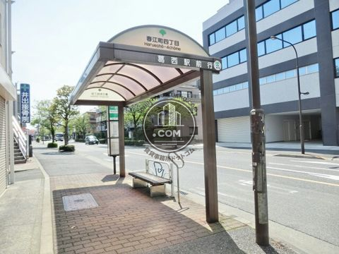 大通り