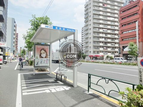 大通り