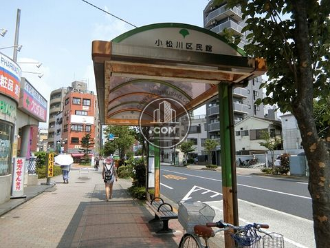 大通り