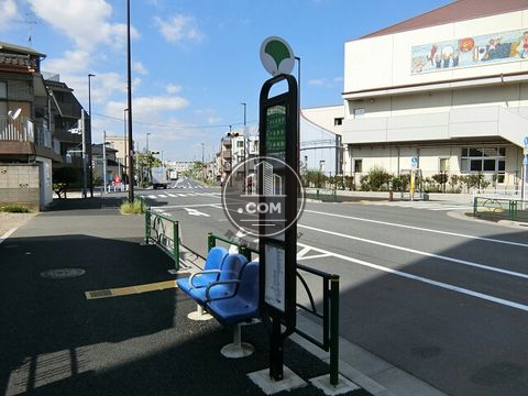 大通り