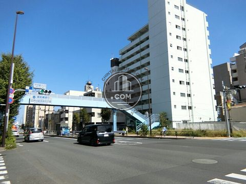 大通り
