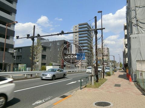 大通り