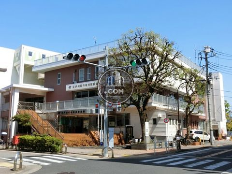 大通り