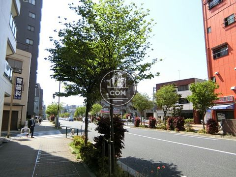 大通り