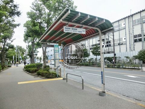 大通り