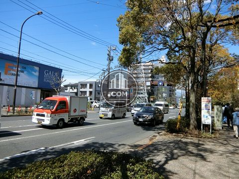 大通り
