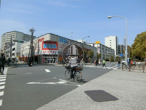 大通り