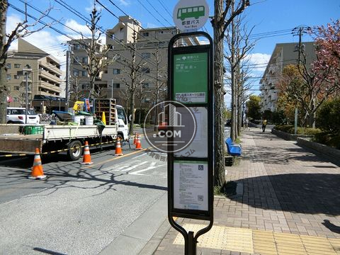 大通り