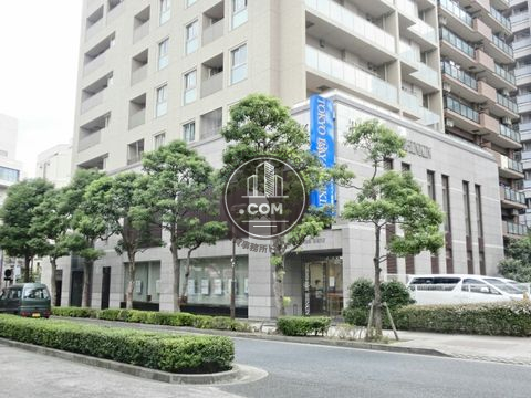 大通り