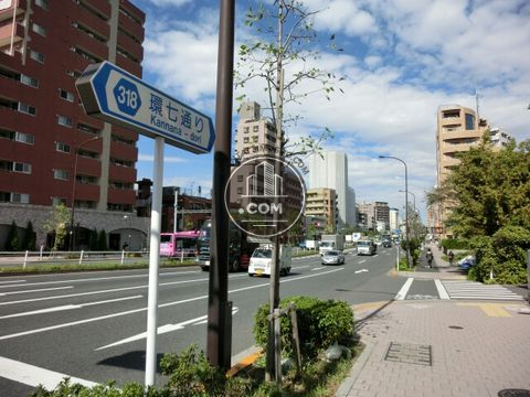 大通り