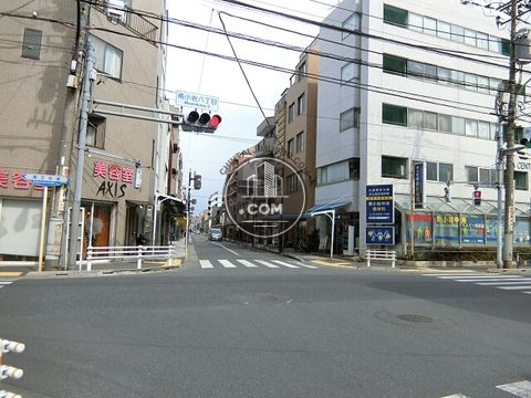 大通り