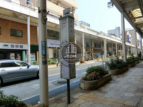 大通り