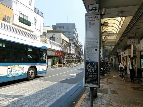 大通り