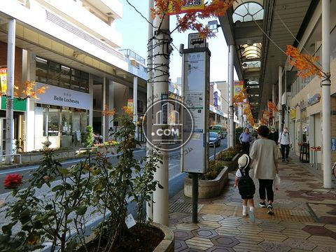 大通り