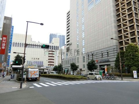 桑並木通り
