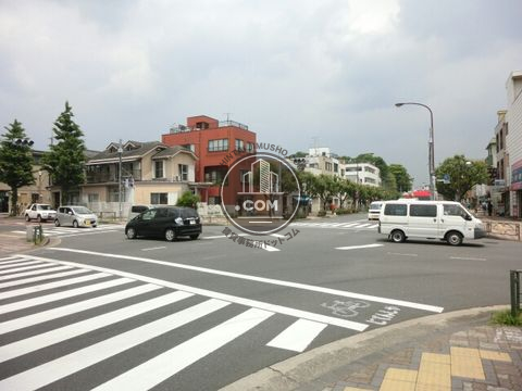 大通り