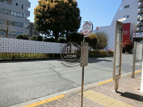 大通り