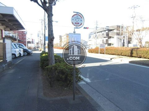 大通り
