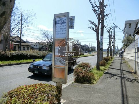 大通り