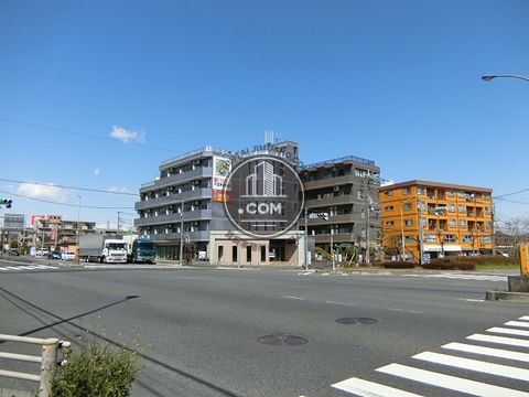 大通り