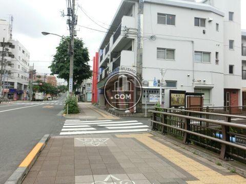 大通り