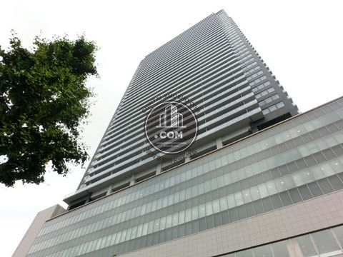 大通り
