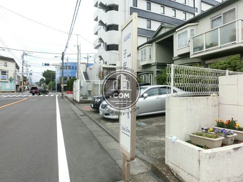 大通り