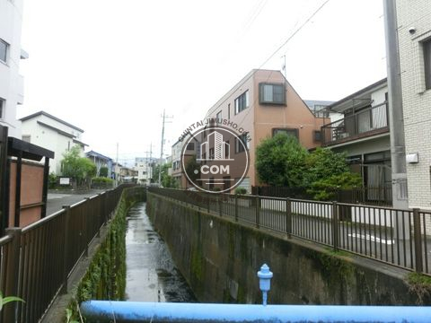 大通り