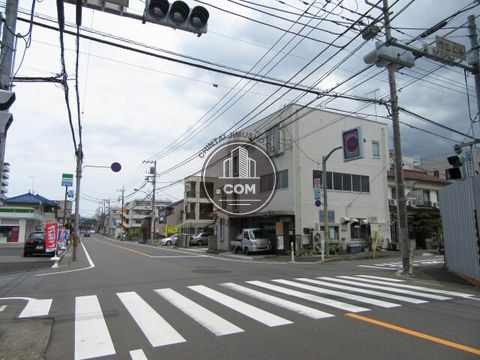 大通り