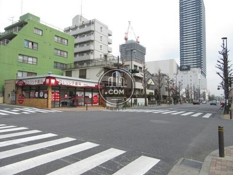 大通り