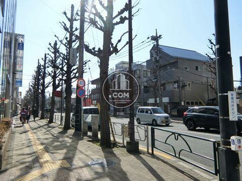 大通り