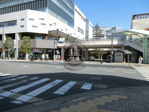 大通り