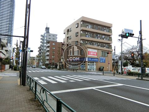 大通り