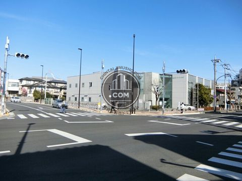 大通り