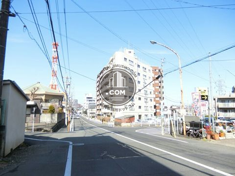 大通り