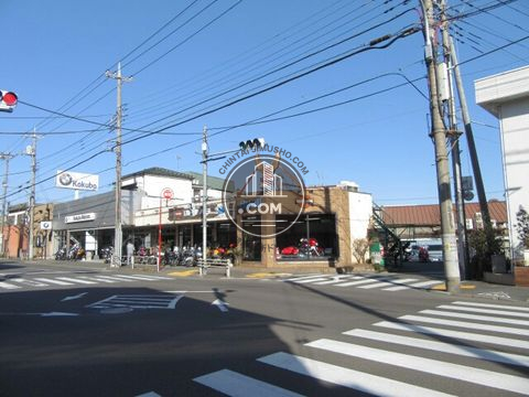 大通り