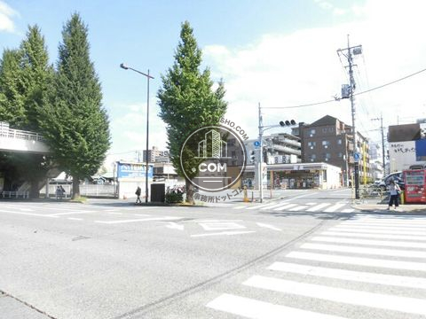 大通り