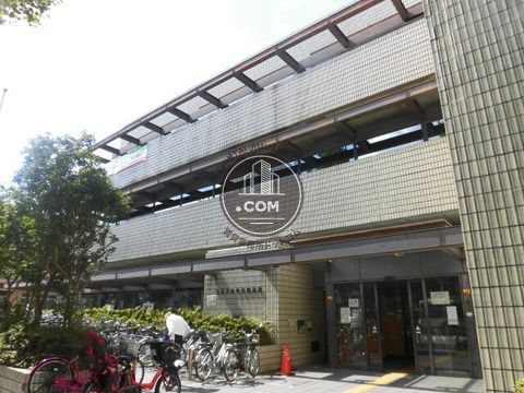大通り