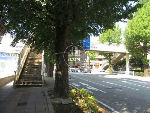 大通り