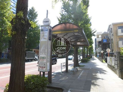大通り